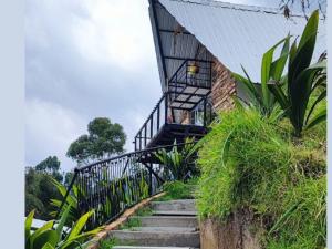 Zahrada ubytování Hotel Chalet en montaña Manizales