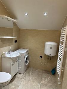 a bathroom with a washing machine and a sink at SUNRISE Apartamenty in Chocicza