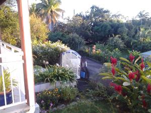 Vrt pred nastanitvijo Appartement Les Bougainvilliers Vue Mer