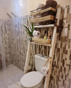 a bathroom with a toilet with a shelf above it at Casinha Aconchegante em Alter do Chão 2min da ilha in Alter do Chao +53 photos