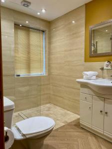 a bathroom with a toilet and a sink and a mirror at Wall Eden farm House in Cote