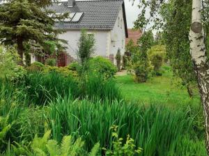 Vonkajšia záhrada v ubytovaní Agroturystyka Leszczynki