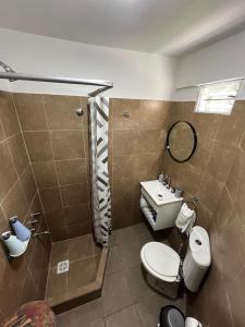 La salle de bains est pourvue de toilettes, d'une douche et d'un lavabo. dans l'établissement Hospedaje LH C A15minutos del aeropuerto ezeiza, à Ezeiza