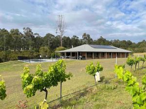 a building in the middle of a field with vines at The Lodge - Ironstone Estate Hunter Valley in Lovedale