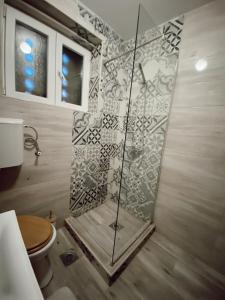 a shower in a bathroom with a toilet at Cozy Trg in Lazarevac