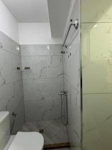 uma casa de banho com um chuveiro, um WC e um lavatório. em Cobo Apartment's em Përmet