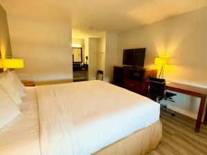 Gallery image of Rodeway Inn Martinez in Martinez