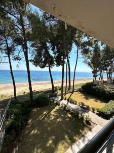 Φυσικό τοπίο κοντά σε αυτό το διαμέρισμα +7 φωτογραφίες
