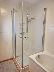 a shower with a glass door in a bathroom at Ferienhaus Heckler in Bad Camberg