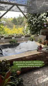 a hot tub in a garden with plants at Hotel Campestre Zona 7 cerca del aeropuerto en rioengro in Rionegro