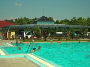 a group of people in a swimming pool at Madácsi Vendégház in Kiskőrös