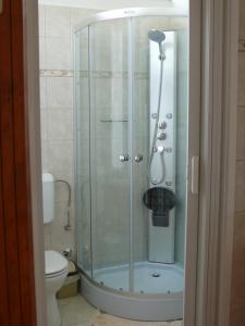 a shower with a glass door in a bathroom at Madácsi Vendégház in Kiskőrös