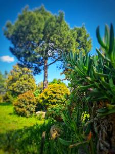 Zahrada ubytování AgriBio Villa Ribes