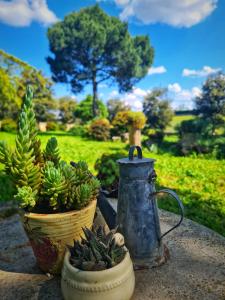 Zahrada ubytování AgriBio Villa Ribes