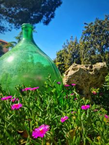Zahrada ubytování AgriBio Villa Ribes