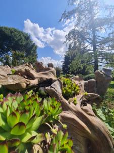Zahrada ubytování AgriBio Villa Ribes