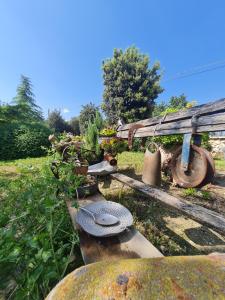 Zahrada ubytování AgriBio Villa Ribes