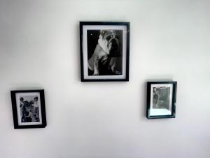 Photo de la galerie de l'établissement Ruby- Quai St Laurent- Bastille, à Grenoble