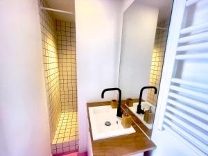 une salle de bain avec un lavabo et un miroir dans l'établissement Ruby- Quai St Laurent- Bastille, à Grenoble
