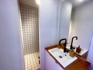 une salle de bain avec un lavabo et un miroir dans l'établissement Ruby- Quai St Laurent- Bastille, à Grenoble 9 autres photos