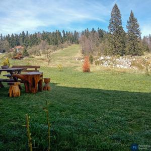 una mesa de picnic en un campo de césped verde en Apartmani ZELENI MEDA en Mitrovac