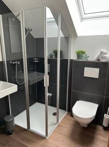 a bathroom with a shower and a toilet at Gasthof Sternen, 3036 Detligen in Uettligen