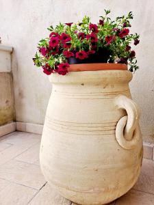 a large planter with red flowers in it at Anninnìa Guest House B&B - GhiIarza in Ghilarza