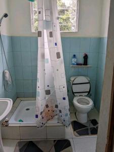 a bathroom with a toilet and a shower curtain at Chez GG in Toamasina