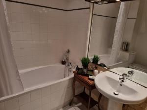 La salle de bains est pourvue d'un lavabo et d'une baignoire. dans l'établissement Château Julie, à Virsac