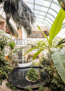 arium di un edificio con piante e soffitto di vetro di Cidnay Santo Tirso - Charming Hotel & Executive Center a Santo Tirso