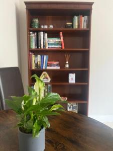 a plant sitting on a table next to a book shelf at Parkside in Pateley Bridge