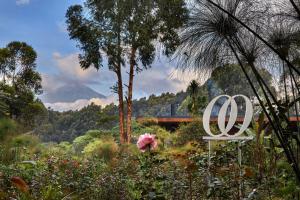 a sign in a garden with a view of a mountain at One&Only Gorilla's Nest in Kinigi