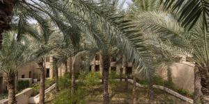 Κήπος έξω από το Bab Al Shams, A Rare Finds Desert Resort, Dubai