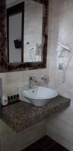 La salle de bains est pourvue d'un lavabo et d'un miroir sur un comptoir. dans l'établissement Pansion Irini, à Ouranoupoli