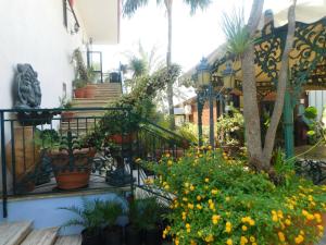 Zahrada ubytování Hotel Blumentag