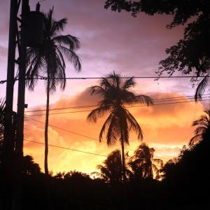 La Asunción的住宿－Acogedor Chalet con Piscina.，棕榈树的日落景象