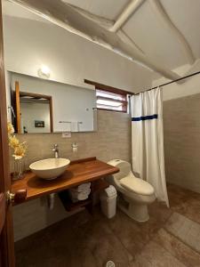 a bathroom with a sink and a toilet and a mirror at Hospedaje Casa Santa Isabel in Villa de Leyva