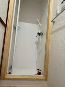 富岡市にあるお宿わいわいの鏡面のシャワー