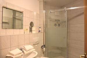 un bagno con doccia, lavandino e specchio di Ferienwohnung Rodachtalblick 927 a Bad Rodach