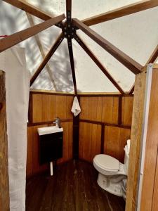 Los Lirios的住宿－Glamping en la Sierra de Arteaga，一间带卫生间和水槽的浴室