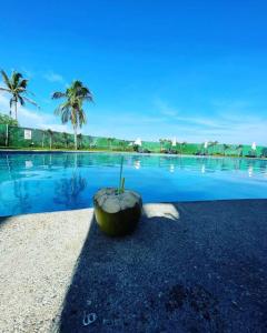 a coconut sitting next to a swimming pool at Increíble Casa con alberca y club de playa in Barra Vieja