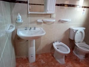 a bathroom with a sink and a toilet at Alojamiento Dihlmann in Dina Huapi