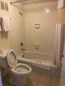 a bathroom with a toilet and a bath tub at Clover Inn and Suites in Shreveport