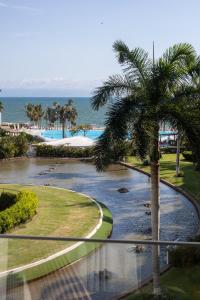 uma vista para um rio com uma palmeira em Beautiful Aria Ocean 401 QueridaEstancia em Nuevo Vallarta 