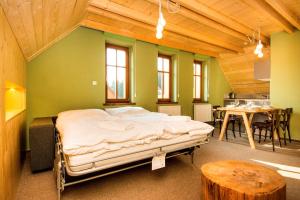 a large room with a bed and a table at Apartmány Severák Smrk in Janov nad Nisou