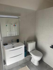 La salle de bains est pourvue de toilettes blanches et d'un lavabo. dans l'établissement TEMEHANI, à Arue
