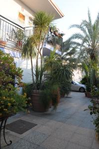 Zahrada ubytování Hotel Blumentag