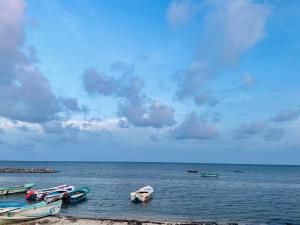 a group of boats in the water on a beach at Borassus Nature Huts in Jaffna