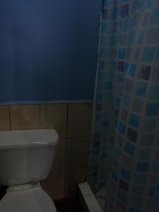 a bathroom with a toilet and a blue shower curtain at Hotel 24/7 in Comayagua