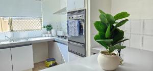 a white kitchen with a plant in a vase on a table at Peaceful House in Perth